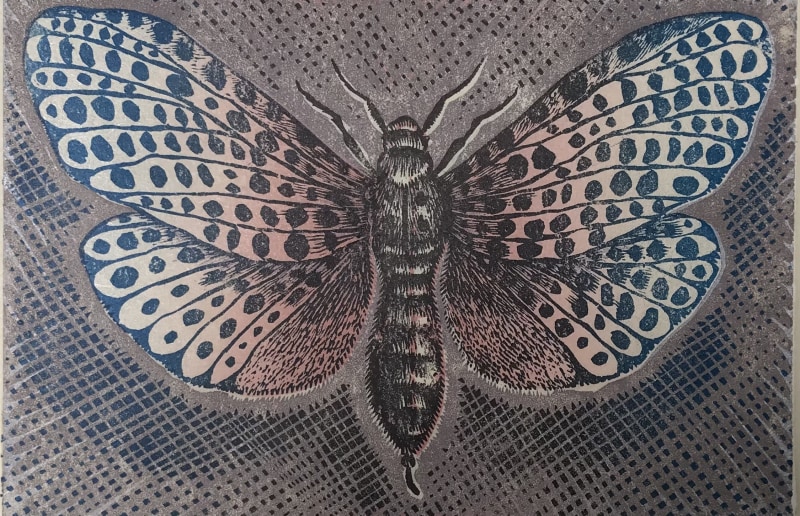 Peter Ford RE, Moth