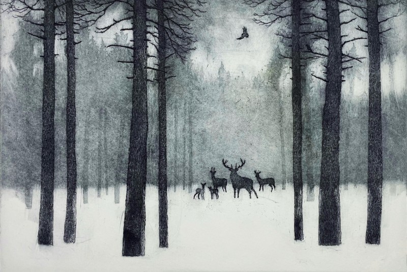 Tim Southall ARE, Deer in Winter