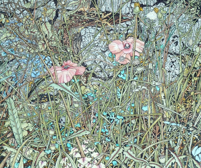 Meg Dutton RE, Poppy Bank