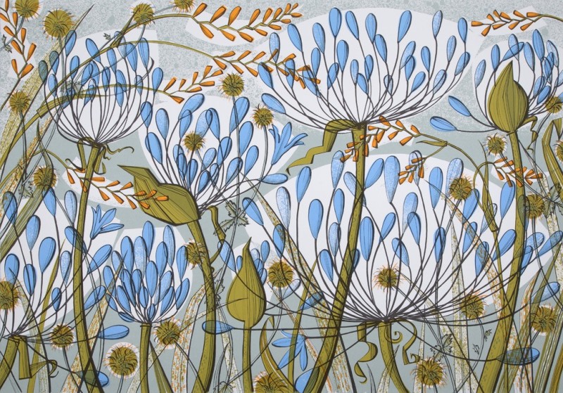 Angie Lewin RWS RE, Agapanthus II