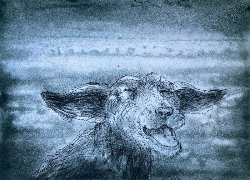 Chris Salmon RE, Happy Dog