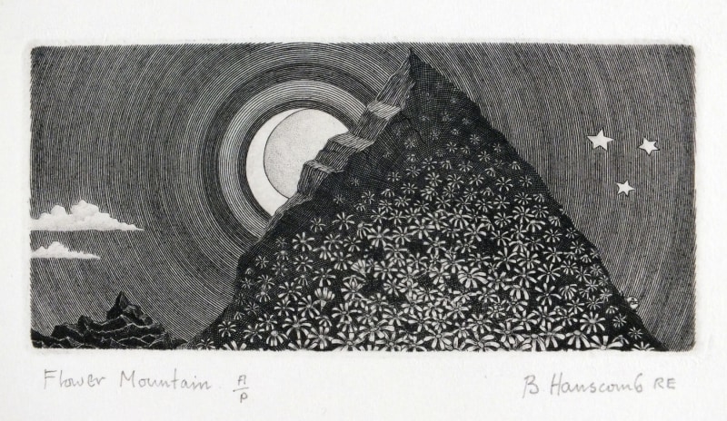 Brian Hanscomb RE, Flower Mountain