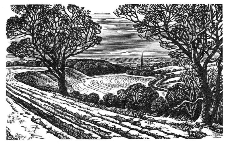 Howard Phipps ARE, Salisbury from Clarendon in Winter
