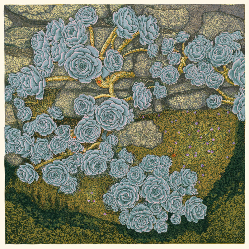 Vanessa Lubach ARE, Cornish Succulents