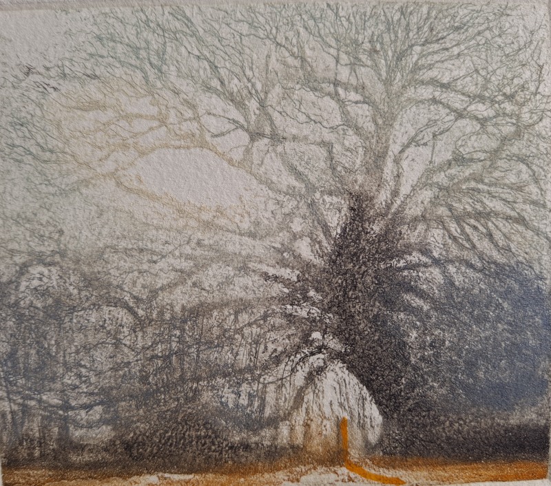 Jo Barry RE, A Little Gleam of Time