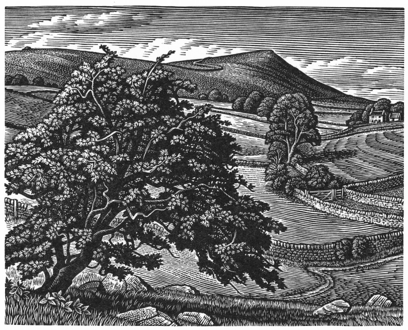 Howard Phipps ARE, Wetton Hill