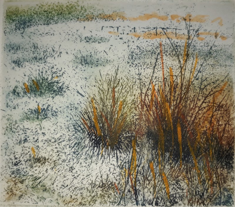 Jo Barry RE, Frosty Fires