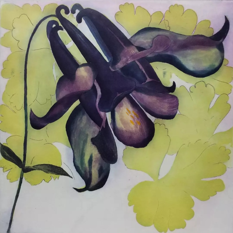 Grainne Cuffe ARE, April Aquilegia