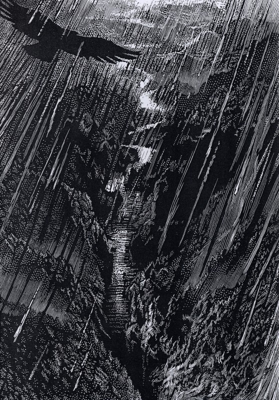 Simon Brett Hon RE, The River Rhine