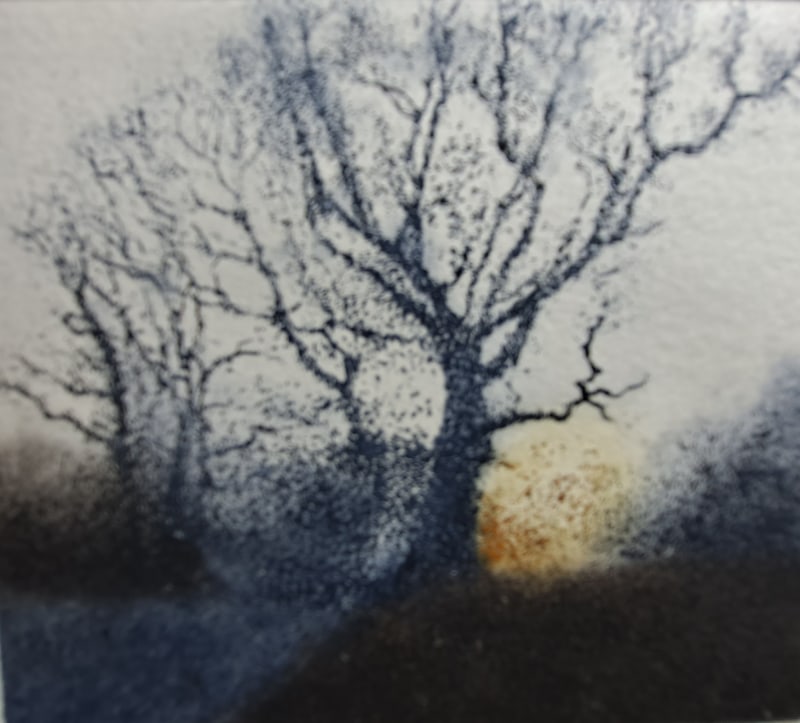 Jo Barry RE, A Blue Frost Bright Dawn
