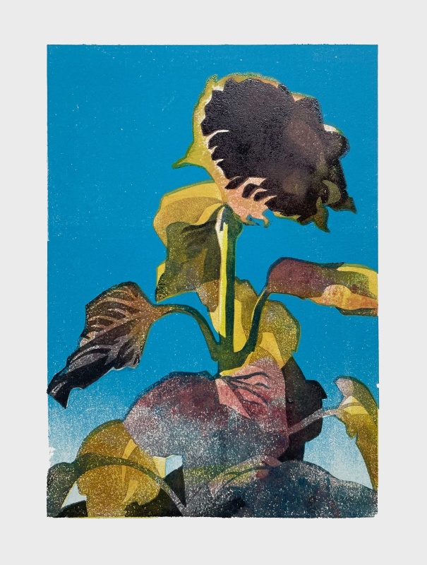 Paul Catherall RE, Autumn Sunflower