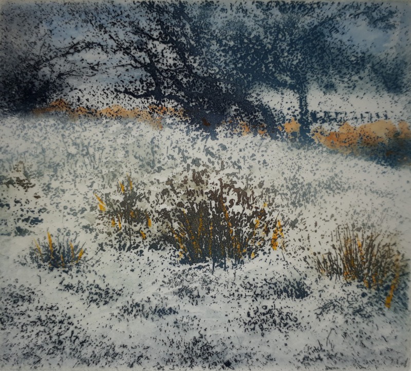 Jo Barry RE, Hoary Headed Frost