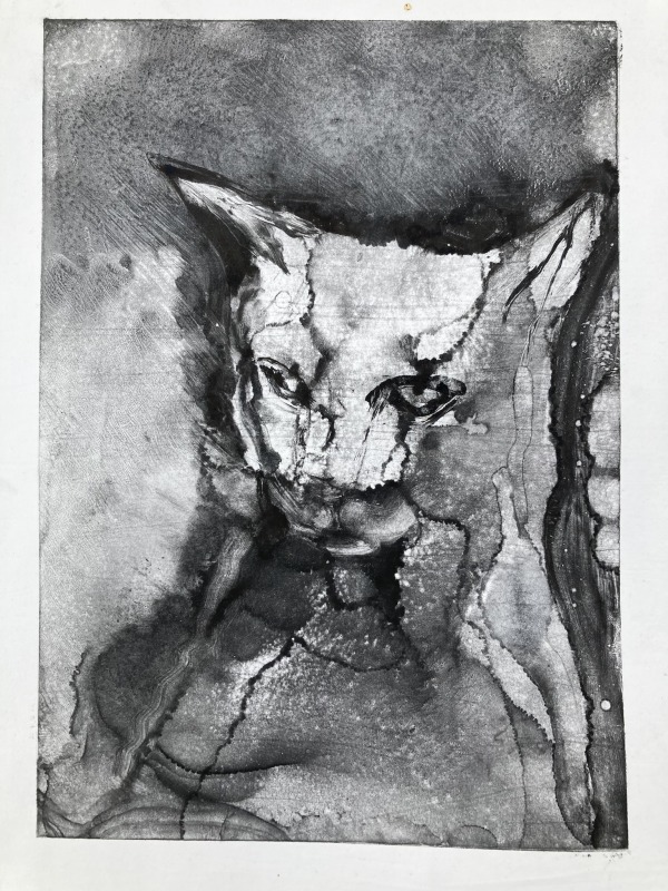 Chris Salmon RE, Cat Head