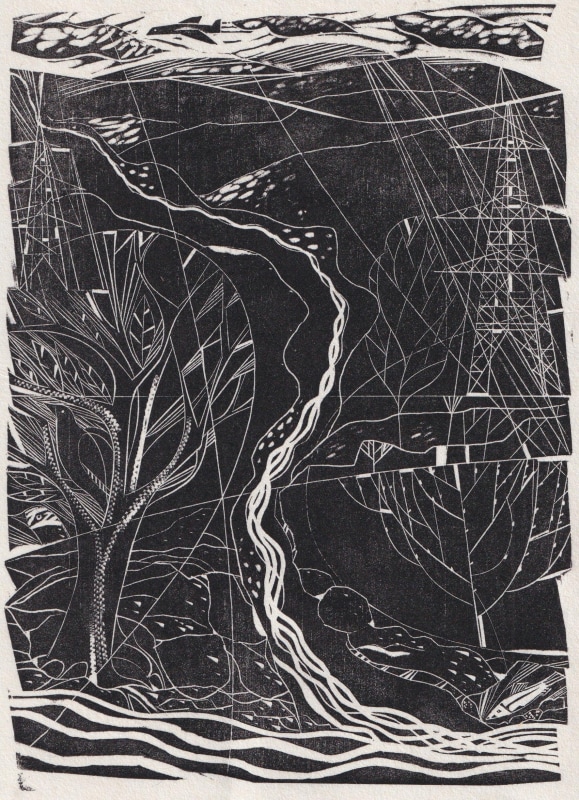 Jonathan Gibbs ARE, River & Stream