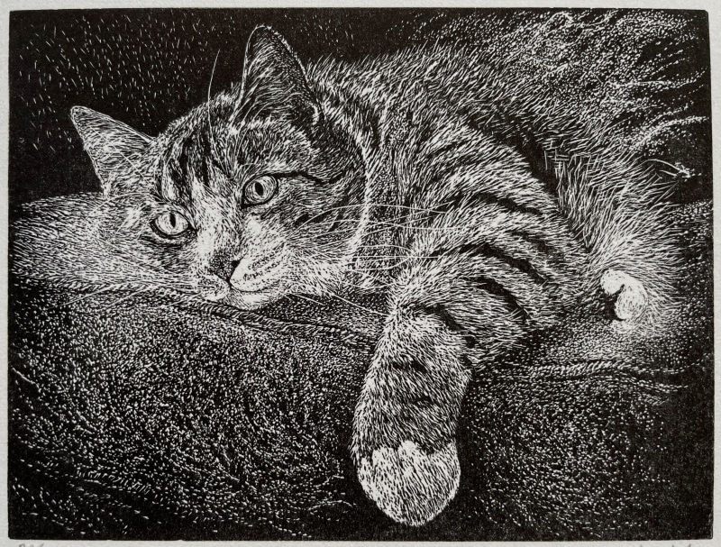 Ann Tout RE, By the Fireside