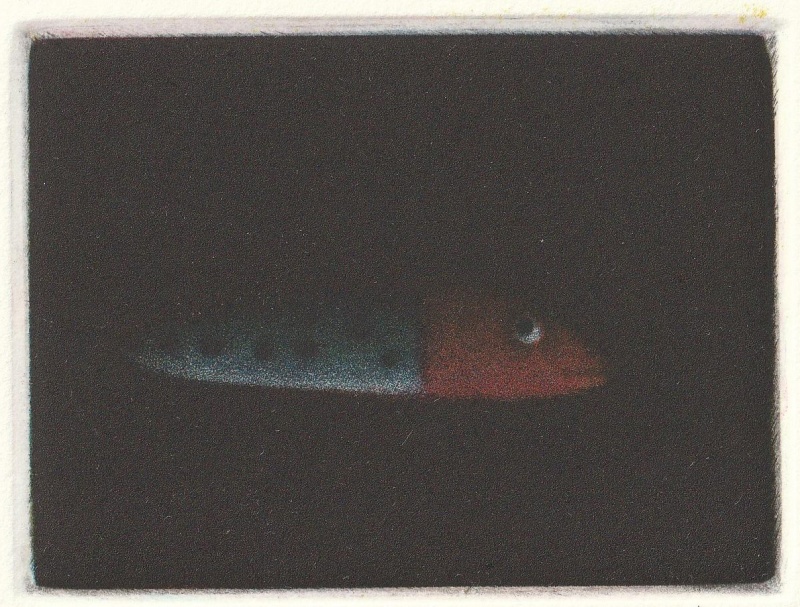 James McCreary ARE, Spotted Lure