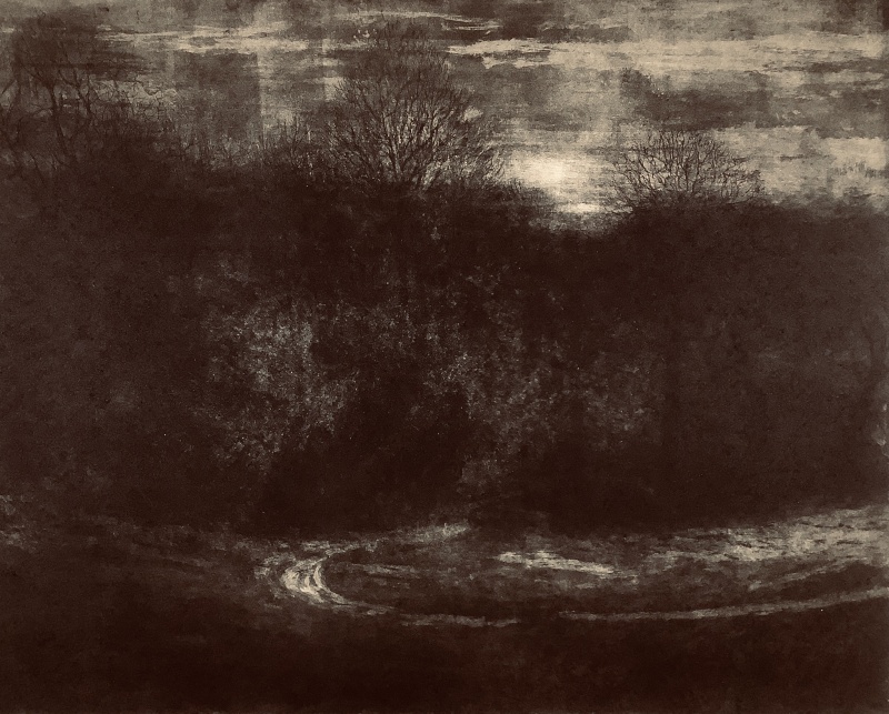 Desmond Healy ARE, Night, Oxlees Wood, End Of Winter