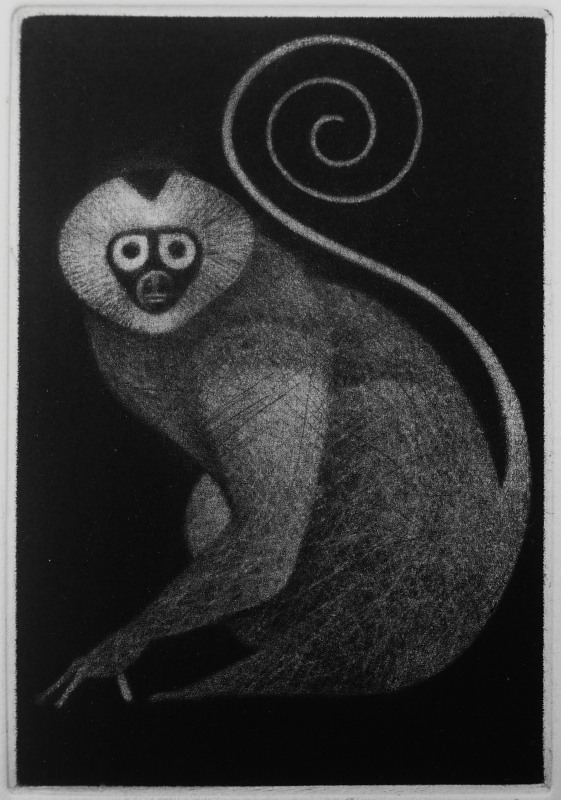 Roger Harris RE, Monkey Puzzle
