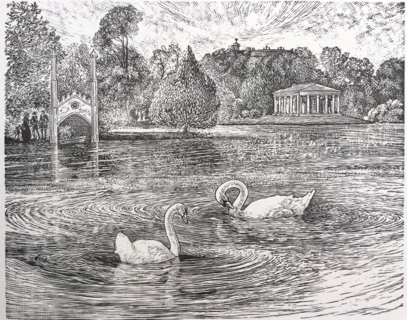 Ann Tout RE, Circling Swans