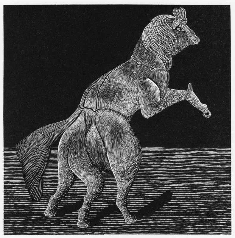 Leonie Bradley RE, Text Prompt: A General History of Quadrupeds IV