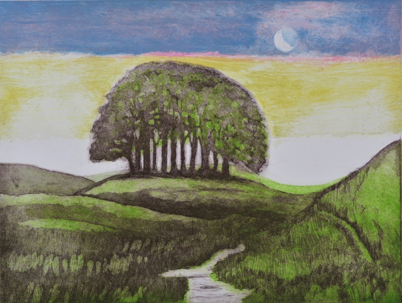 Beechgrove Equinox, Autumn, etching