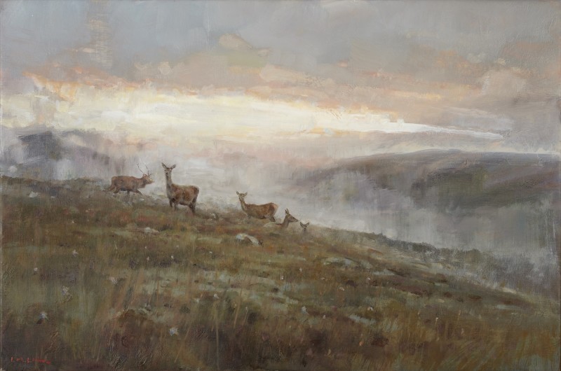 Ian MacGillivray