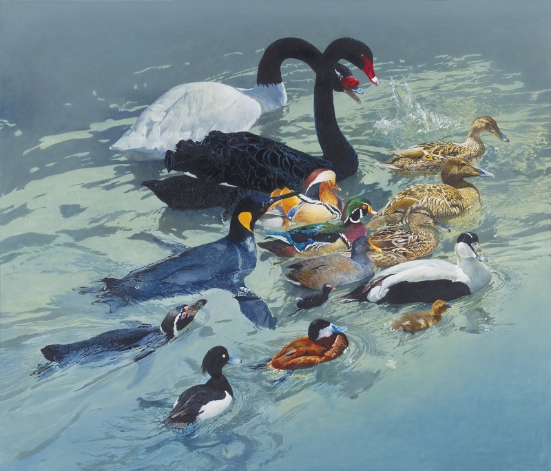 Ray Harris Ching
