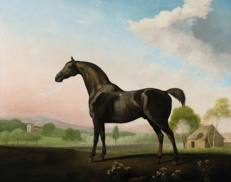 George Stubbs, ARA