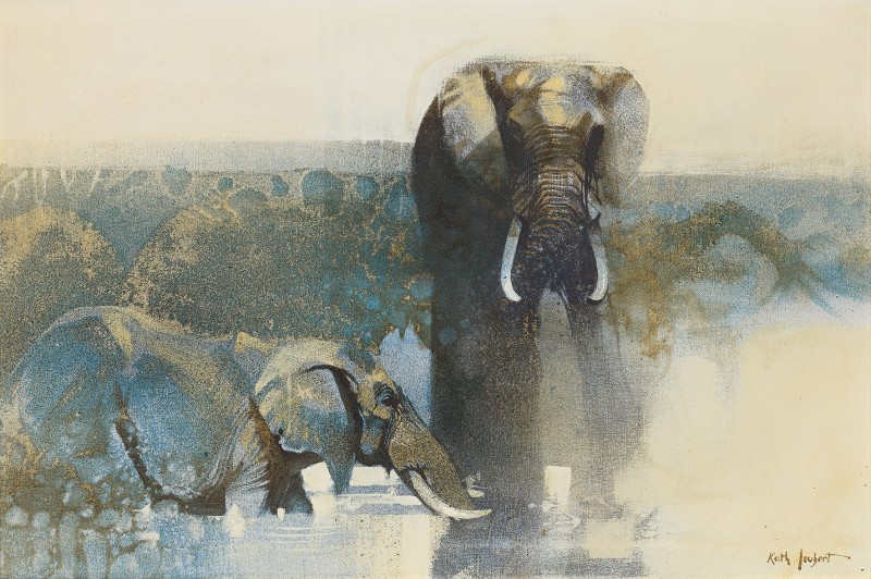 Chobe elephants