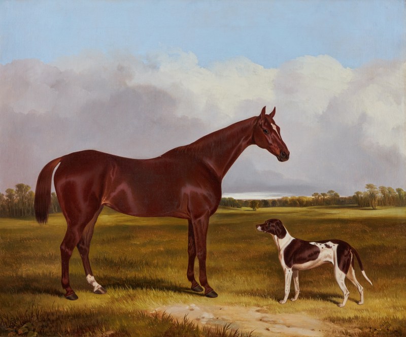 A chestnut horse and English pointer in a landscape