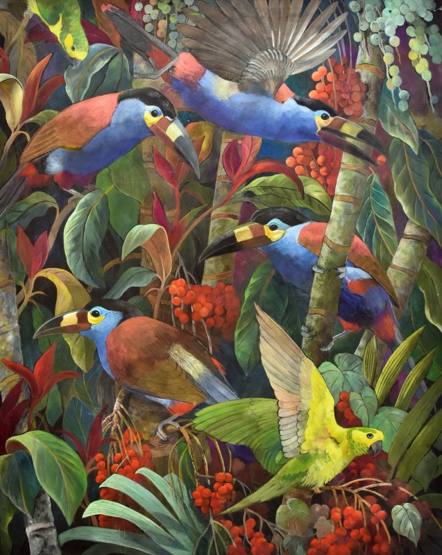 Emma Faull , Plate-billed Toucan and Yellow-eared Parrots