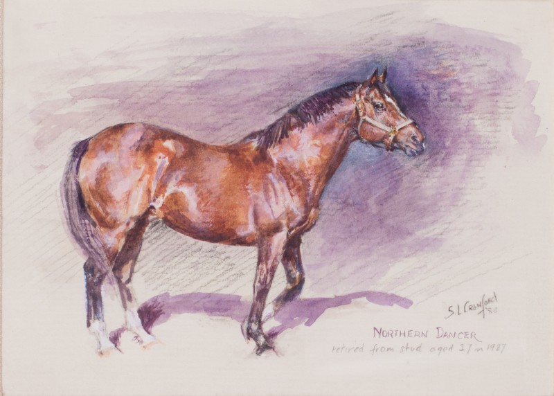 Northern Dancer