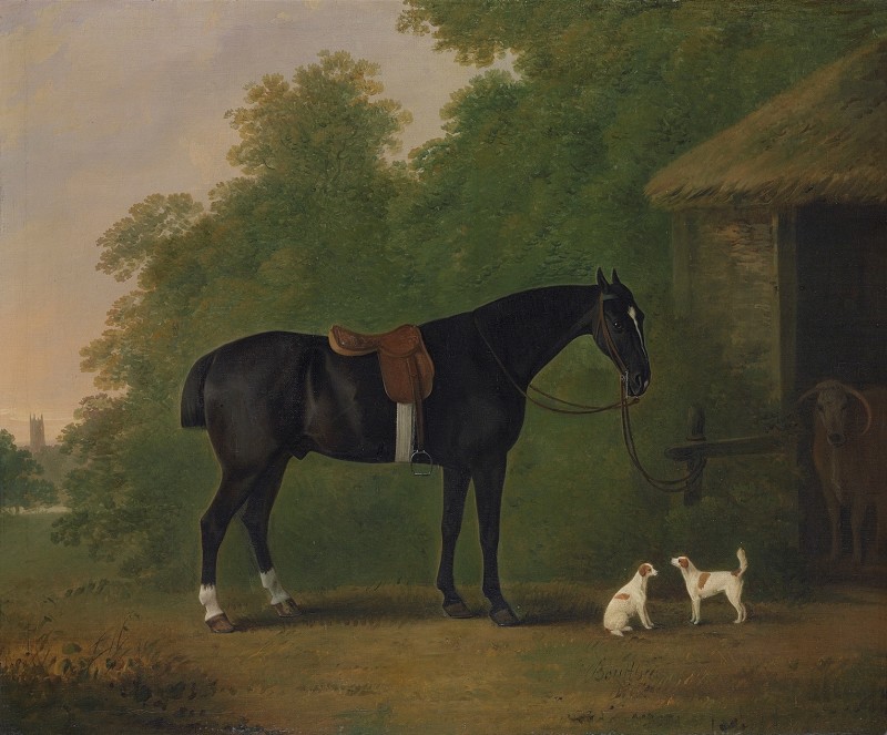 Bay horse with two terriers before a stable