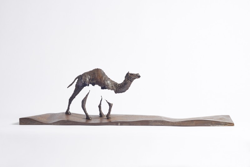 Pascal Chesneau , Camel