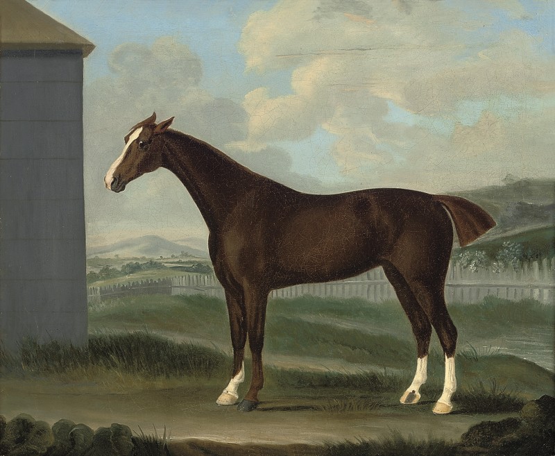 A chestnut horse in a landscape