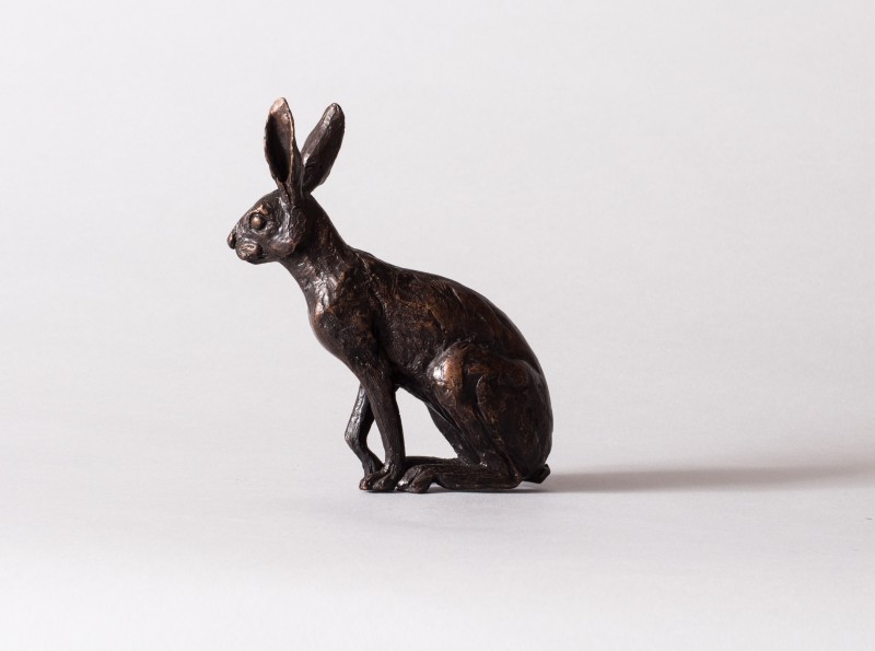 Little Hare