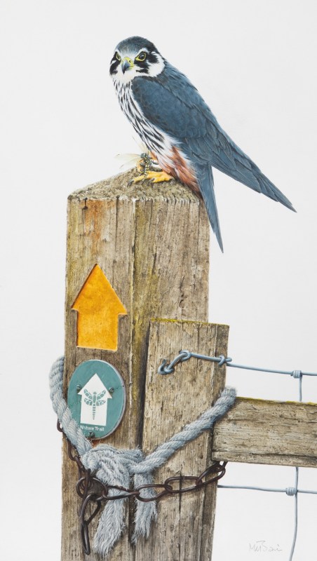 Hobby on a signpost