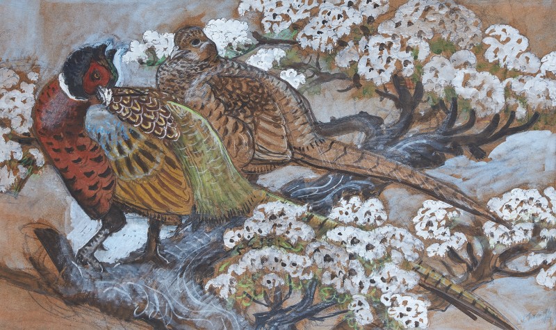 Pheasants in blossom