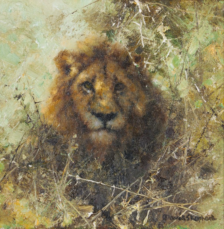 Lion