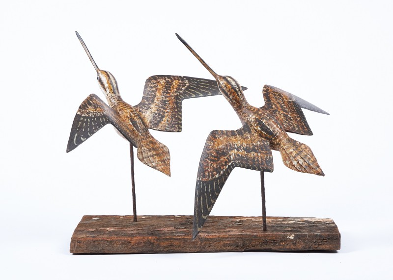 Pair of Snipe