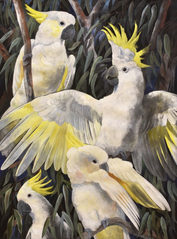Emma Faull , Sulphur-crested Cockatoo