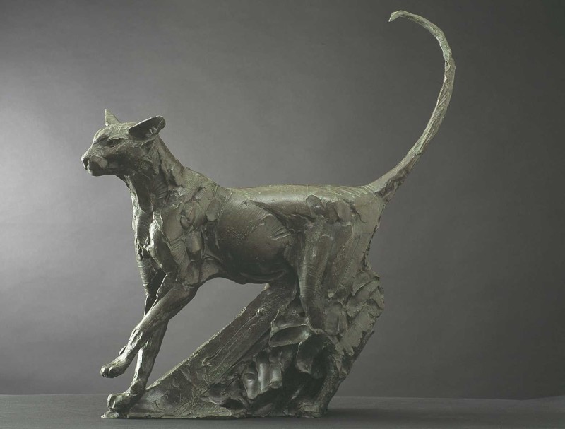 Standing oriental cat