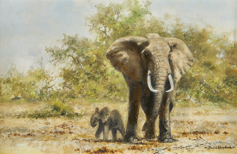 Works Africa Rountree Tryon