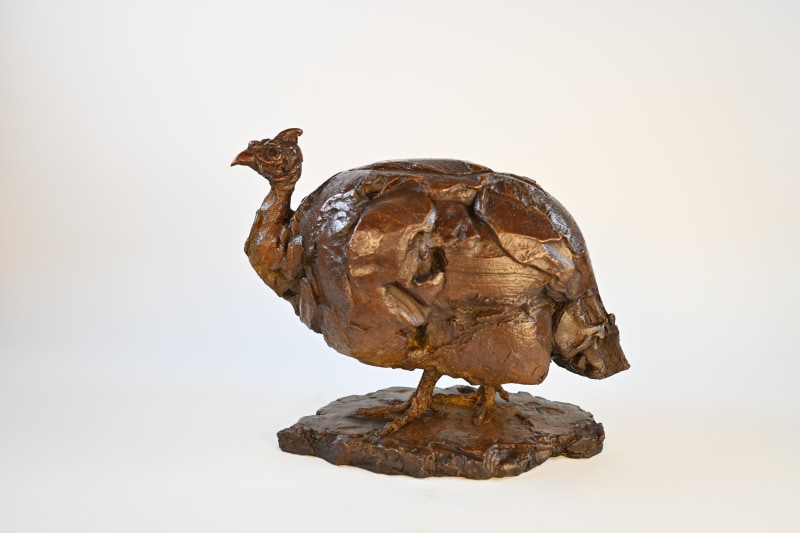 Guinea Fowl II