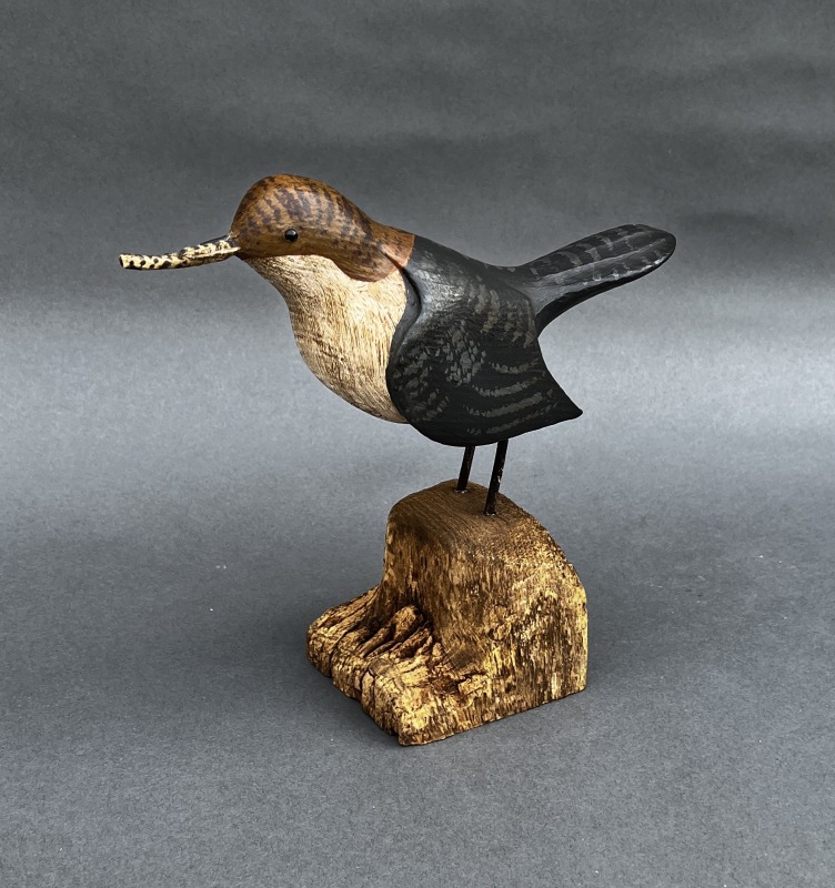 Dipper with mayfly