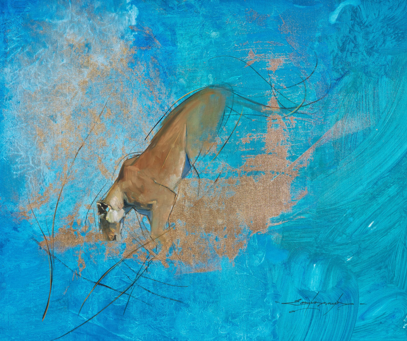 Angama Lioness 2