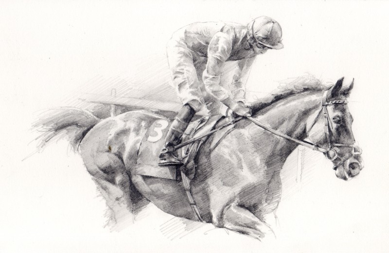 Mandy Shepherd, Racehorse