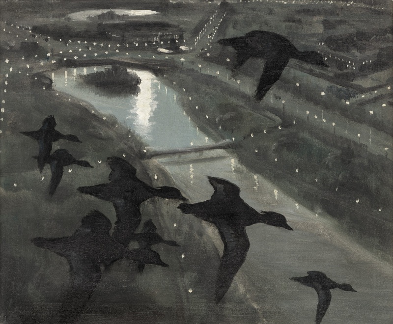 Tufted ducks arriving at St. James's Park, 1936