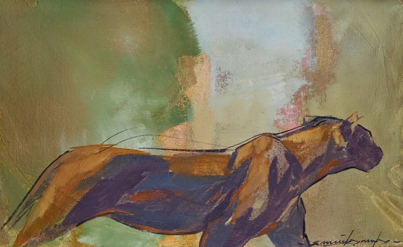 Hunting lioness