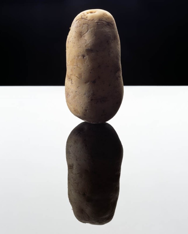 土豆 Potato, 2003 © Anuschka Blommers & Niels Schumm
